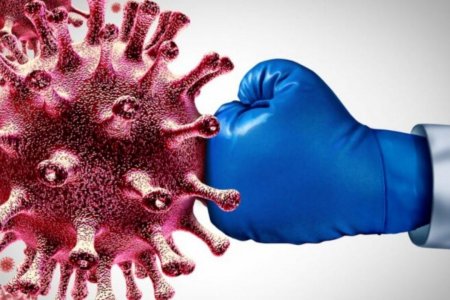 Учёные изучили силу иммунитета переболевших коронавирусом