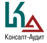 Консалт-аудит
