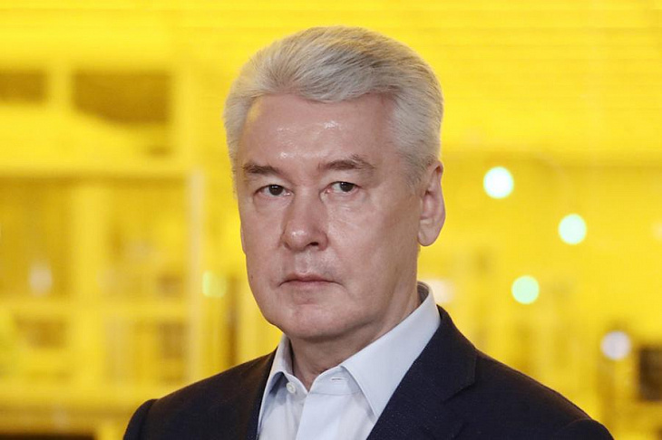 Собянин пригрозил выгнать компанию «ПИК» с московского рынка