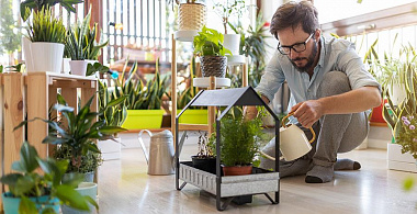 Городские фермеры: 3 истории о том, как устроить мини-огород в квартире