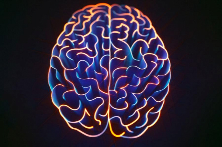 Неврологи выяснили, какие процессы могут вызывать слабоумие