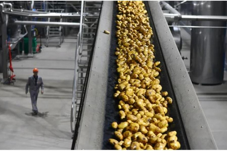 Инвесторы делят клубни