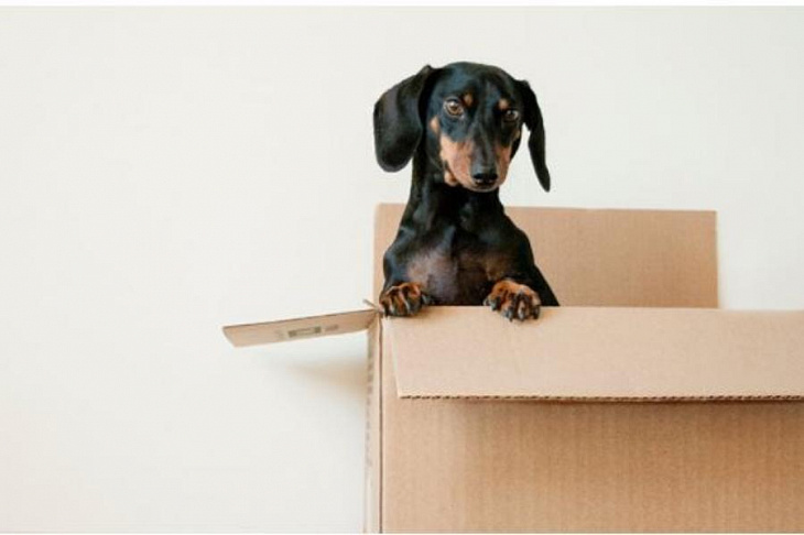 10 пунктов, которые необходимо сделать для переезда.