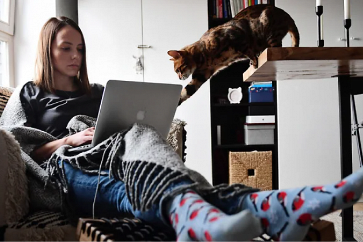 Репетиция отменяется