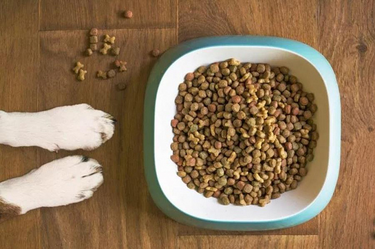 ФАС выявило незаконное завышение цен на корм для животных