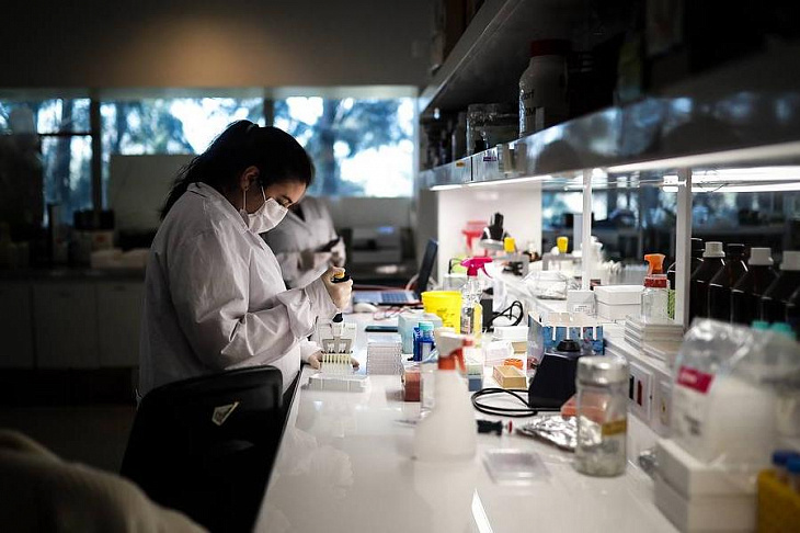 Генетики выяснили, почему носители синдрома Дауна редко страдают от твердых опухолей