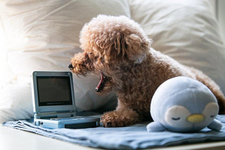 Сомнолог раскрыл способы побороть осеннюю сонливость