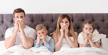 Сбежать от аллергии: как защитить дом, не покидая квартиры