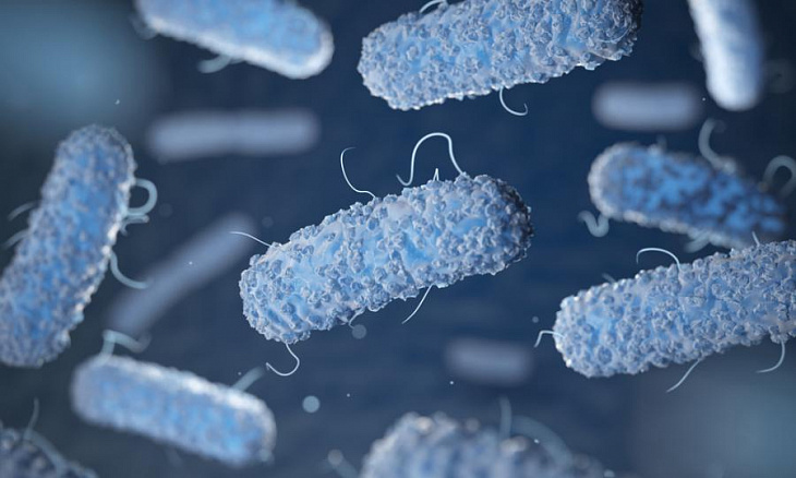 Генетики нашли способ предотвращать тяжелые пищевые отравления