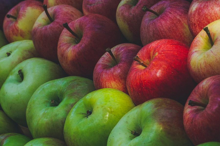 Садоводы России просят правительство ограничить импорт яблок