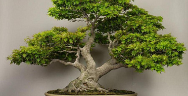 Простые правила жизни