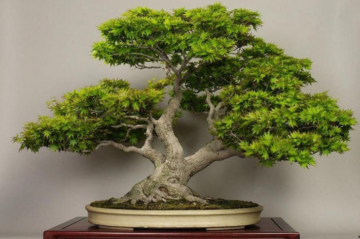 Простые правила жизни