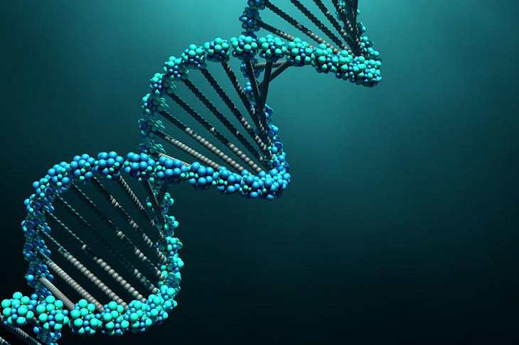 Исследователи узнали, какие гены приводят к циррозу печени