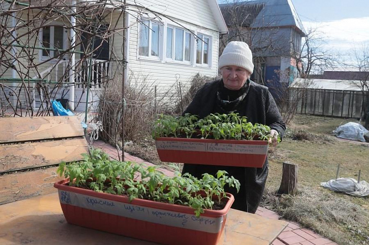 Как садоводы занимаются огородом в режиме самоизоляции