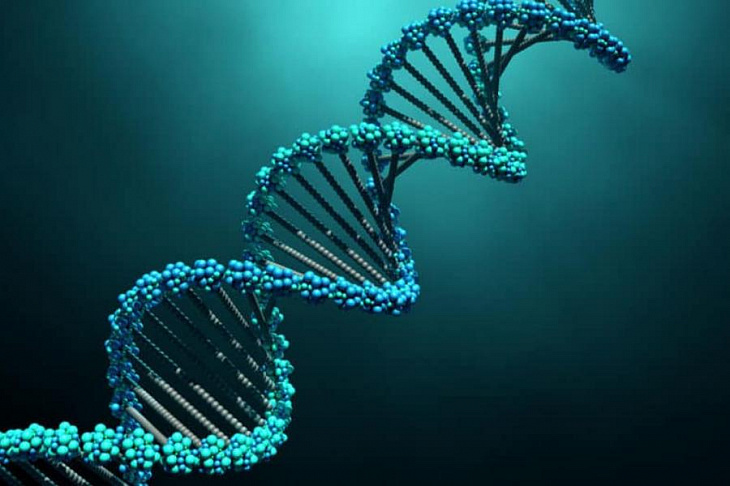 Гены покажут, кому грозит язвенная болезнь желудка