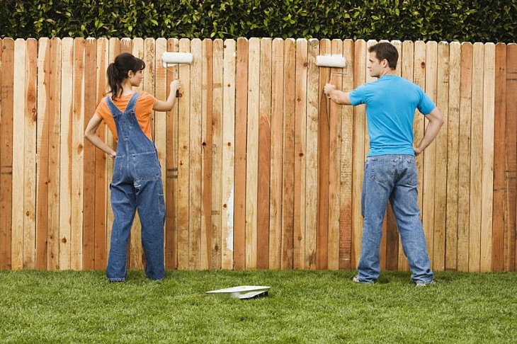 Как начать пользоваться брошенным дачным участком