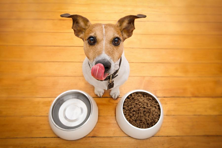 «Бетховен» подключился к экспресс-доставке «Яндекс. Маркета»