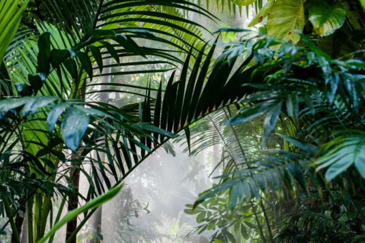 Влажность в квартире: как измерить и нормализовать