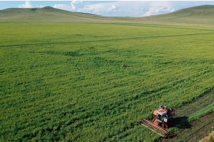 Земля и доля