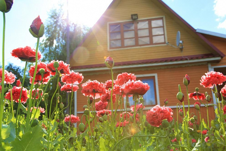 Что купить на 5 млн рублей в 50 км от Москвы: дом, участок с подрядом или без?