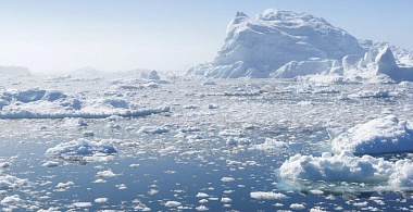 Арктика оказалась источником лекарств против опасных бактерий