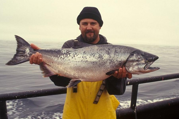 Врачи назвали последствия употребления рыбы два раза в неделю