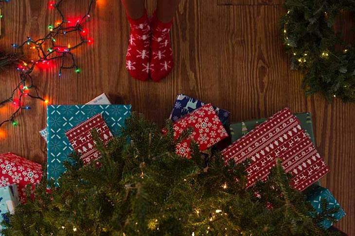 30 бизнес-идей на Новый год 2020 — как заработать зимой в новогодние праздники