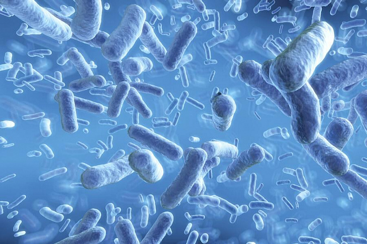 Ученые нашли способ безопасного снижения веса