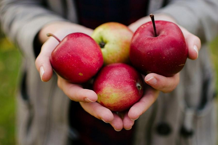 Диетолог рассказала о пользе яблочных зернышек