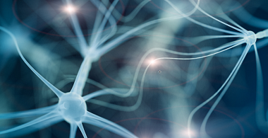 Специалисты сумели справиться с повреждениями нервной системы