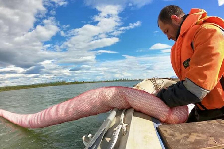 Росприроднадзор подал в суд на «Норникель»