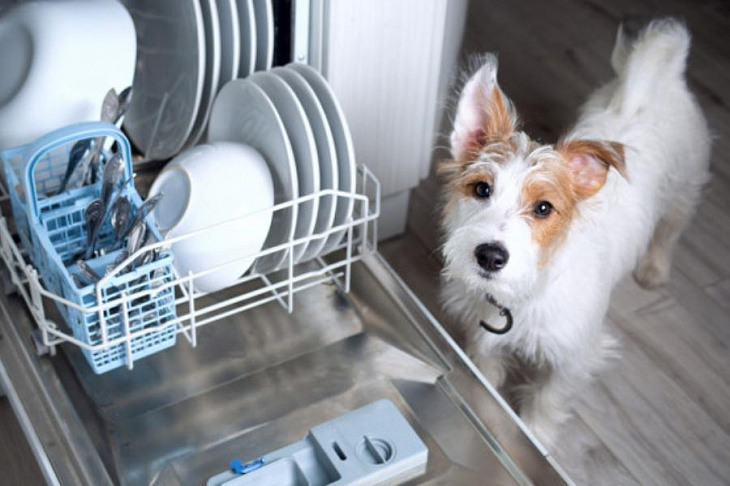 Посудомоечные машины: характеристики, советы по выбору и использованию 