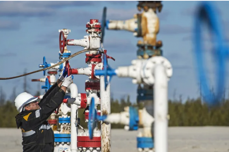 Добылое и думы