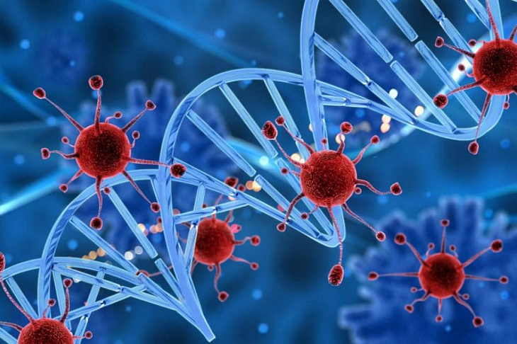 Ученые опровергли популярный миф о коронавирусе