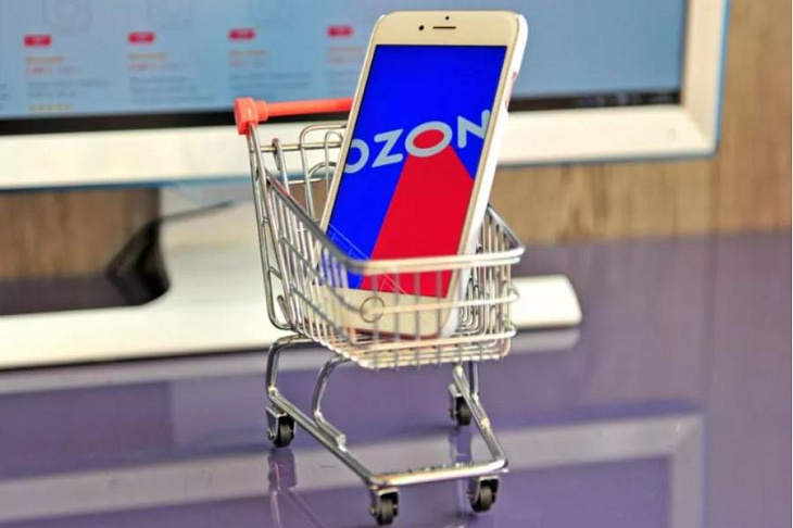 Ozon: растет спрос на товары для зимнего досуга с детьми