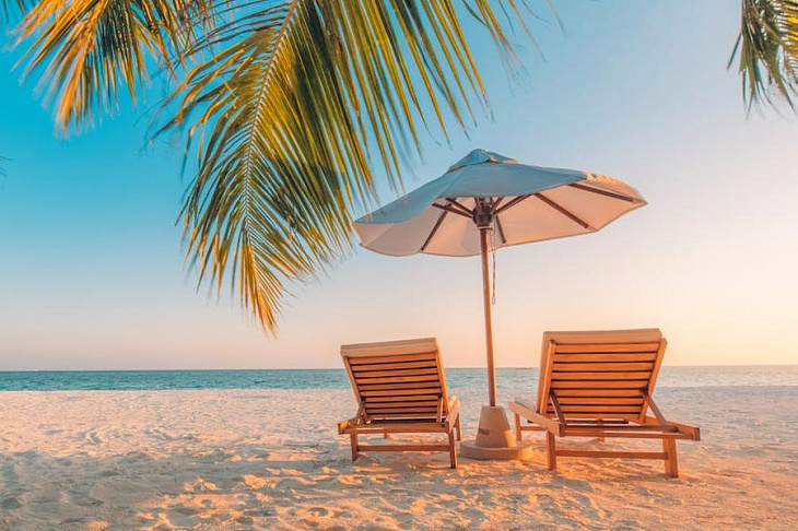 Названо количество россиян отказавшихся от летнего отпуска