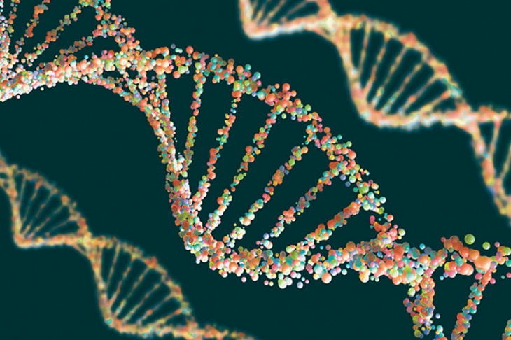 Генетики обнаружили ключ к лечению герпеса