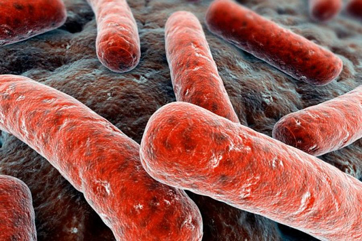 Специалисты нашли новый способ уничтожения микобактерий, вызывающих туберкулез