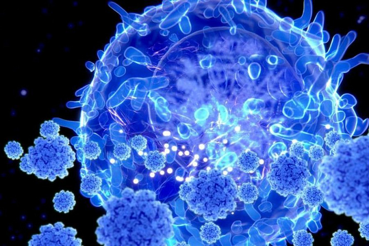 Неврологи связали работу иммунитета и поведение