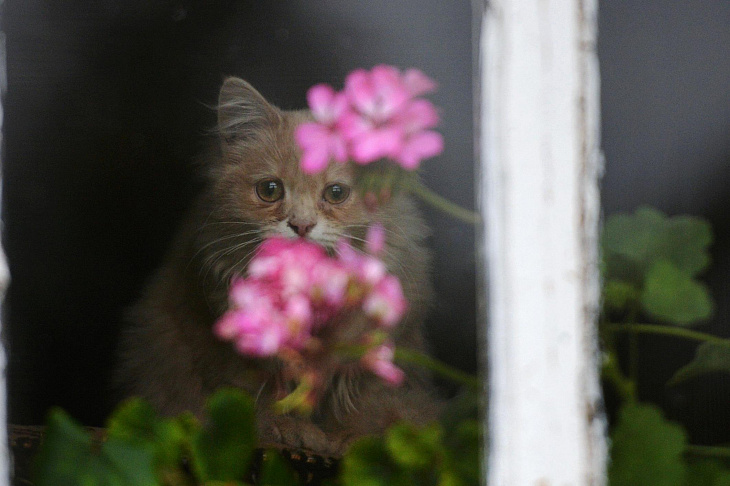 Три проблемы с ремонтом, о которых не знают покупатели жилья