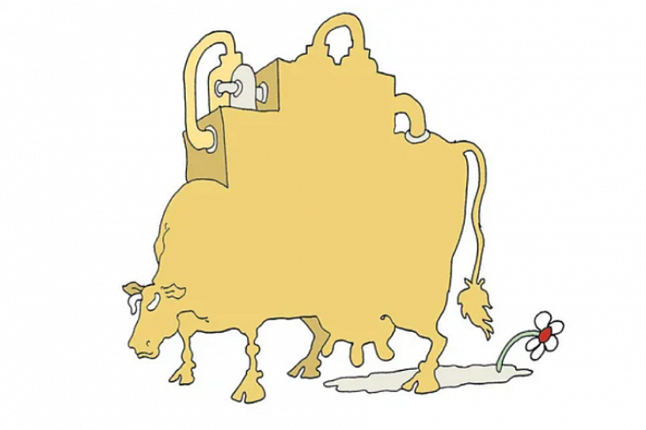 Молоко переработают на экспорт