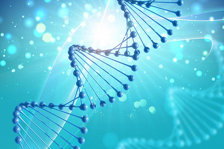Генетики пересмотрели свой взгляд на механизм наследования