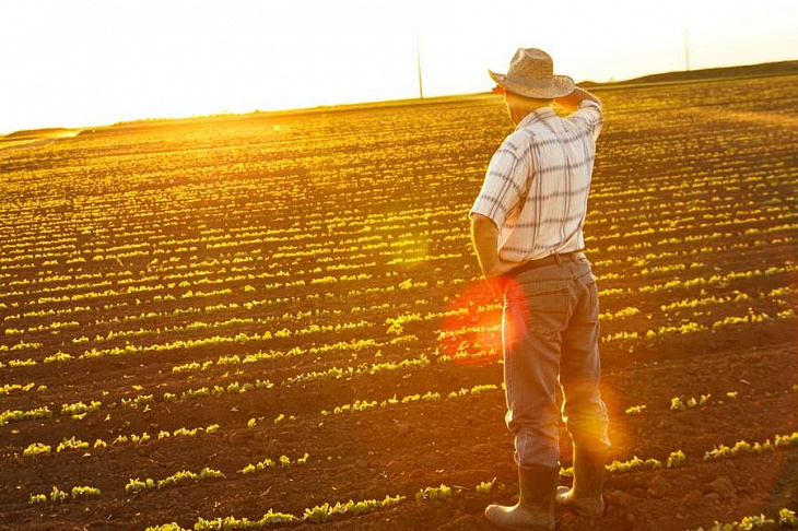 Фермерам разрешат строить жилые дома на землях сельхозугодий.