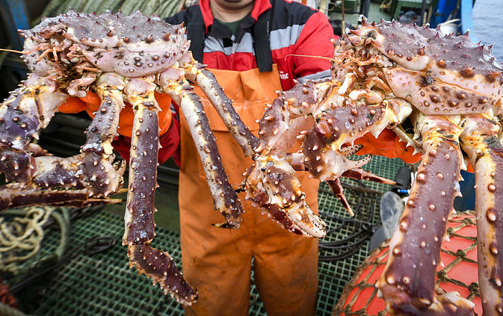 «Регулярные акции устрашения»: работники компаний из дела «крабового короля» пожаловались Путину
