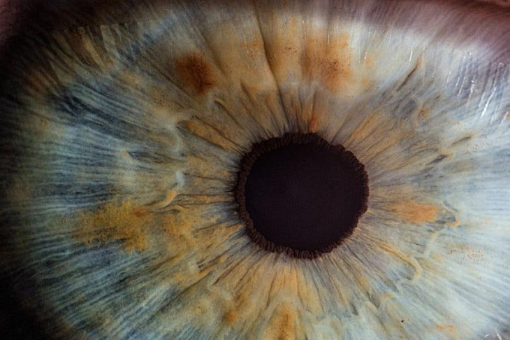 Офтальмология XXI века: что нового в лечении глаз?