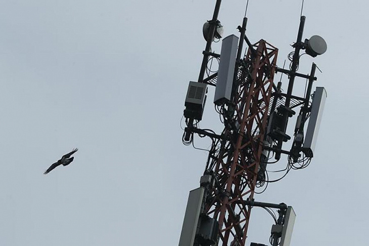 Эксперт прокомментировал прогноз роста цен на сотовую связь в России