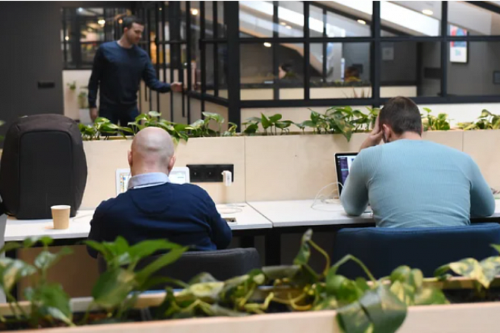 Петербург становится гибче