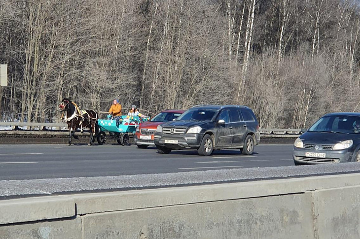 В Москве на МКАД выехала гужевая повозка с лошадью. Фото
