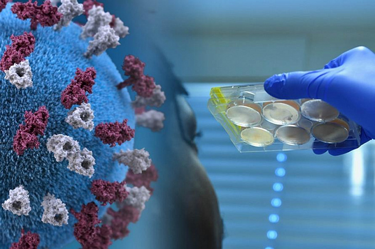 Исследователи совершили прорыв в поиске лекарств против COVID-19