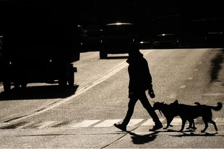 Автомобилистов ждут зигзаги удачи